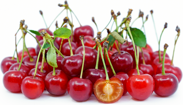 Sour Cherry IQF, without stone from 세르비아 supplied by MONDI LAMEX "MONDI SERBIA DOO" - Oblacinska 신선 앵두
