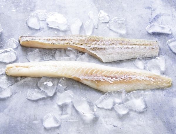Alaska Pollock from United States supplied by Golden Alaska Seafoods - Alaska Pollock (=Theragra chalcogramma) Frozen Pollack