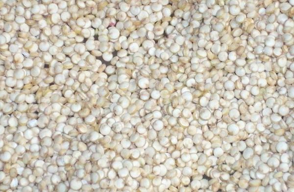 Quinoa from 페루 supplied by Peruvian heritage - Peruvian 퀴노아