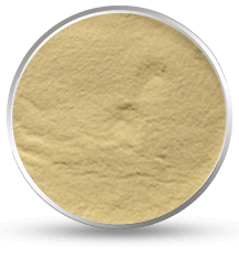 fenugreek gum powder from India supplied by Altrafine Gums - Hulled Fenugreek Seed