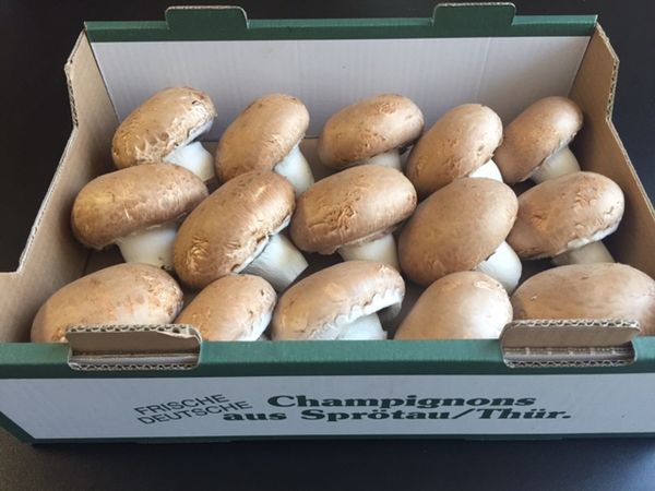Stone Mushroom Rosella from Germany supplied by Sprötauer Champignon GmbH - Brown Other Fresh Mushrooms