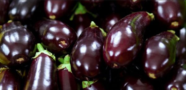 Eggplant from Belgium supplied by DE SCHOUWER L. & CO - Purple (=Violet) Eggplant
