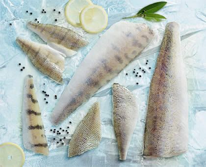Pike Perch from 미국 supplied by Nordic Group Inc. - Pike Perch (=Sander lucioperca=Pikeperch=Zander) 냉동 퍼치