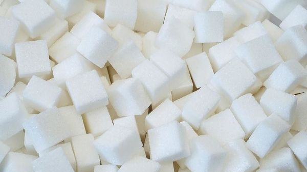 Sugar from 러시아 supplied by OJSC SZL - Icing Sugar (=Powdered Sugar=Confectioners' Sugar=Icing Sugar Mixture) 설탕