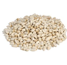 Whole Safflower Seed from 카자흐스탄 supplied by KAZCROP - Whole 잇꽃 씨