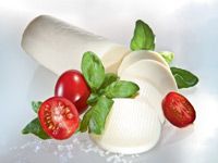 Mozzarella Cheese from 독일 supplied by Dairy Niesky GmbH - Bar 모짜렐라 치즈