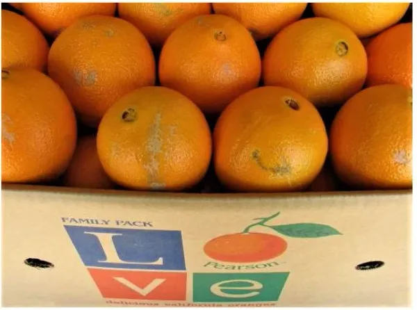 orange from United States supplied by Pearson Ranch LLC - Orange Fresh Orange