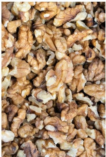 Organic Walnut from 독일 supplied by Rieser Nut GmbH & Co. KG - In-shell 생호두