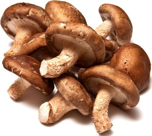 Shiitake Mushroom from 중국 supplied by Champinter - Whole 표고버섯