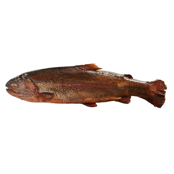 Smoked Trout from 핀란드 supplied by Escamar Seafood - Salted 냉동 송어