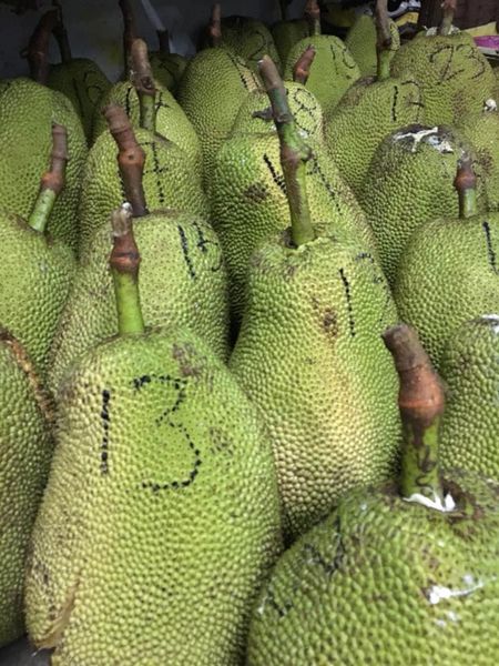 Jackfruit from 말레이시아 supplied by Sunco Jackfruit - Green 잭프루트