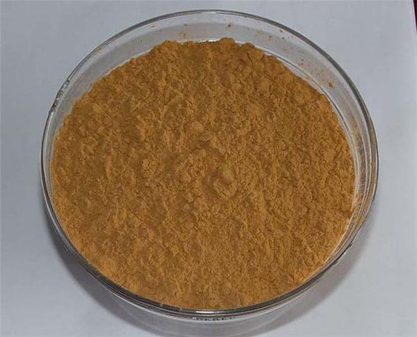 Okra Extract from 중국 supplied by Shaanxi Yi An Biological Technology Co.,Ltd. - Extract 신선 오크라