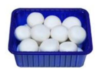 Mushrooms from 폴란드 supplied by GRZYK RAFAŁ PRODUCENT PIECZAREK - As per customer's request 기타 신선 버섯류