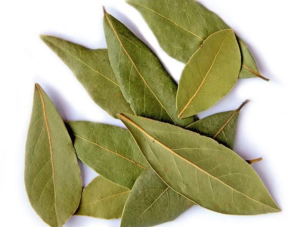 Bay Leaves from 튀르키예 supplied by Bayamtas Import and Export - Leaf 월계수 잎