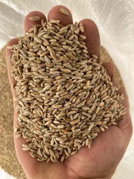 Rye from South Africa supplied by Lowerland - Powder Rye