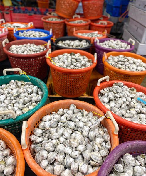 Fresh clams from 미국 supplied by Wellfleet Shellfish Company - Whole (=In Shell=Unshucked) 냉동 조개