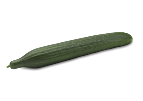 Cucumber from Netherlands supplied by Peq - Green Fresh Cucumber
