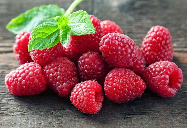 Raspberry (Rubus idaeus) from 칠레 supplied by Exportaciones e Inversiones Agroberries SA - Red 신선 라즈베리
