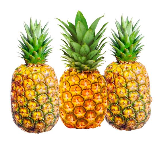 Fresh Pineapple from Ecuador supplied by AGROINDUSTRIAL EL EDEN AGROEDEN CIA. LTDA. - Farmed Fresh Pineapple