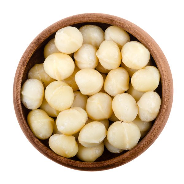 Macadamia from 남아프리카공화국 supplied by Mayo Macs Macadamias - Whole Kernel 마카다미아 알맹이