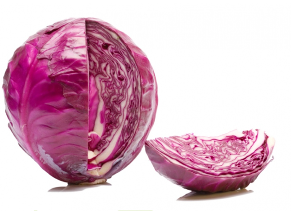 cabbage from 네덜란드 supplied by Heegsma bv - 녹색 양배추 신선 양배추