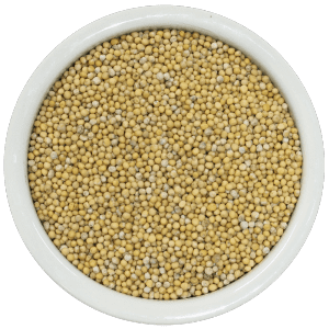 Mustard Seed from Czechia supplied by STATEK KUTLIRE - Unspecified Mustard Seed