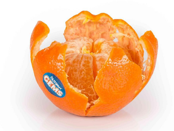 Orange from 오스트리아 supplied by CAPESPAN - 기타 오렌지 - 발라디 신선 오렌지