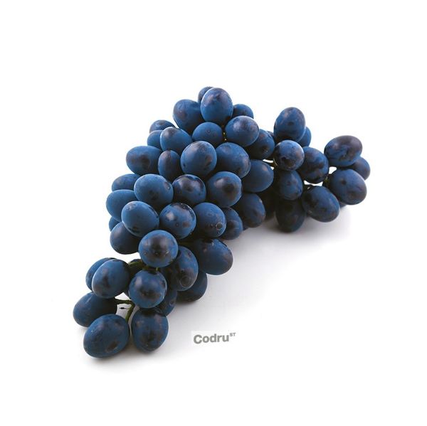 Fresh Table Grape from Moldova supplied by Codru ST SRL - Table Grape Fresh Grape