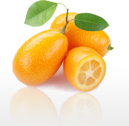 Kumquat from Spain supplied by Axarquía Tropical SLU - Sweet Kumquat