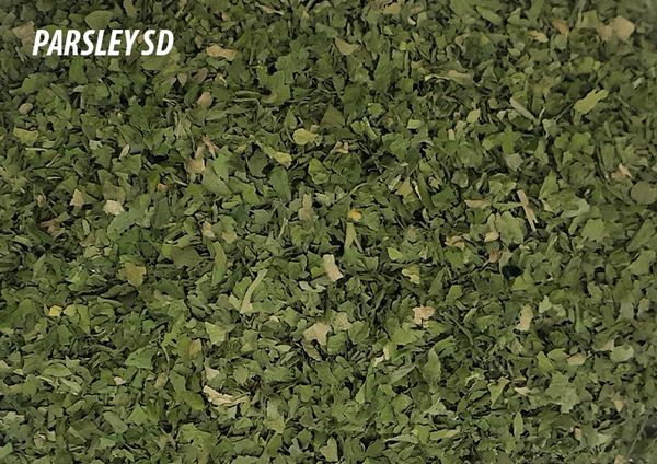 Dehydrated Parsley from 이집트 supplied by NABIL MORSI CO. - Dried (=Dehydrated) 파슬리