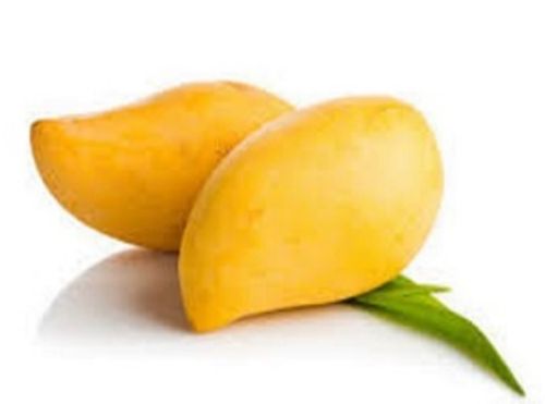 Mango from Pakistan supplied by Makkah Traders - Fresh (=Chilled) Fresh Mango