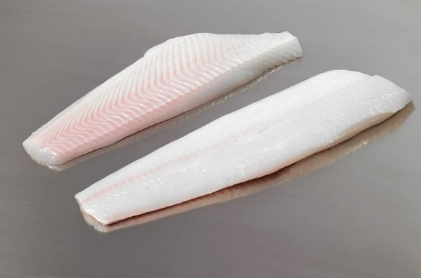 Greenland Halibut from Iceland supplied by Iceland Seafood do Brasil Ltd. (SI Group) - Greenland Halibut (=Reinhardtius hippoglossoides =Greenland Turbot =Black Halibut =Blue Halibut =Lesser Halibut) Frozen Halibut