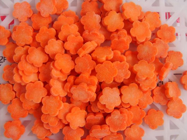 Carrot from China supplied by Lianyungang Longda Fine Foods Co.,Ltd - Cut Fresh Carrot