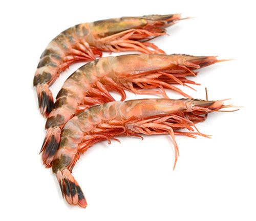 frozen shrimp from Bangladesh supplied by Sea Source foods International - Headless Frozen Common Shrimp & Prawn