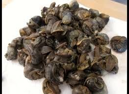 Snails In Brine from 남아프리카공화국 supplied by Made in Africa - Preserved (=Canned) Ribbon Fish 가공품