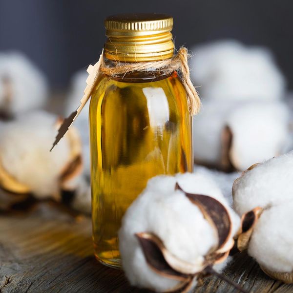 Cotton Seed Oil from 인도 supplied by Ellipsis International - 목화씨 오일