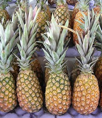 Pineapple from 도미니카공화국 supplied by Quality Agro Export S R L - Golden Yellow 신선 파인애플