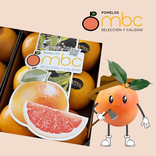 Fresh Whole Pomelo from Spain supplied by POMELOS MBC S.L. - Yellow Skin Fresh Pomelo