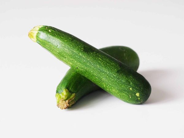 Fresh Organic Zucchini from 독일 supplied by BioKräuterei Oberhavel - Whole 신선 주키니