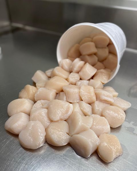 Scallop meat from 미국 supplied by Viking village inc. - Meat Only (=Shelled=Shucked) 냉동 가리비