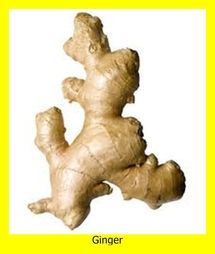 Dried Organic Ginger from 이집트 supplied by Organic Herbs For Import & Export - Whole 통생강