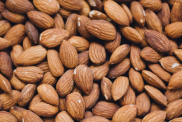 Dried Almond from United Kingdom supplied by INTERNATIONAL PROCUREMENT AND LOGISTICS LTD (IPL) - Brown Almond Kernel