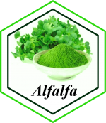 Alfalfa Extract from Peru supplied by Graderi SAC - Green Alfalfa