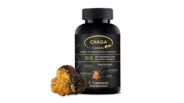 Chaga powder from Canada supplied by Real Organics & Naturals House Ltd. - Powder Chaga Mushroom