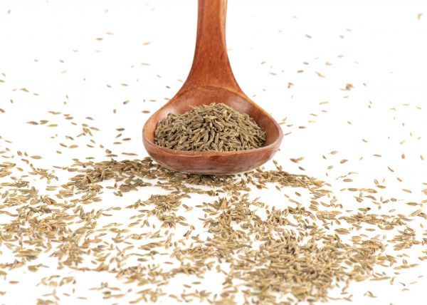 Cumin Seed from 독일 supplied by Herbis Natura GmbH - Dried 커민 씨