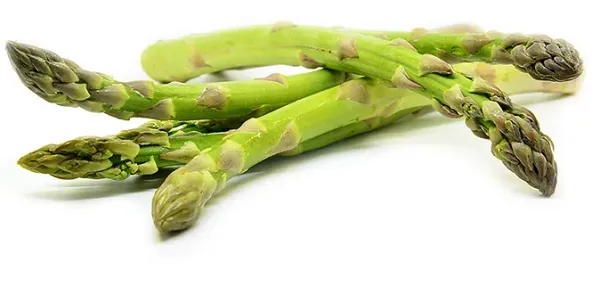 Fresh Asparagus from 뉴질랜드 supplied by JP Exports - Fresh (=Chilled) 신선 아스파라거스