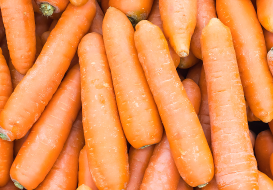 Mini Carrot from 스페인 supplied by Málaga Natural S.l. - Orange 신선 당근