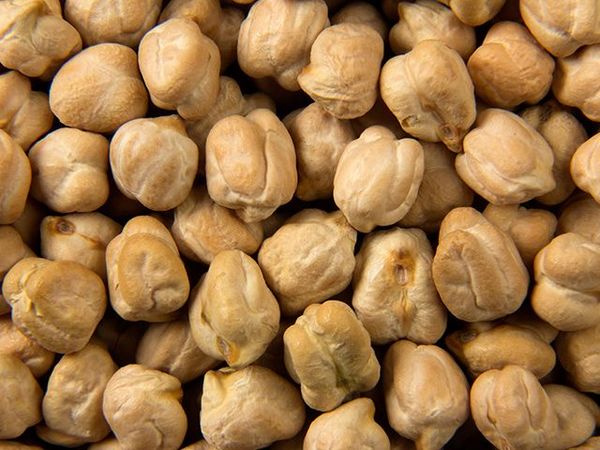 Chickpea from 인도 supplied by ORGANIC PRODUCTS INDIA - Veeral Agro Tech - Kabuli 말린 병아리콩