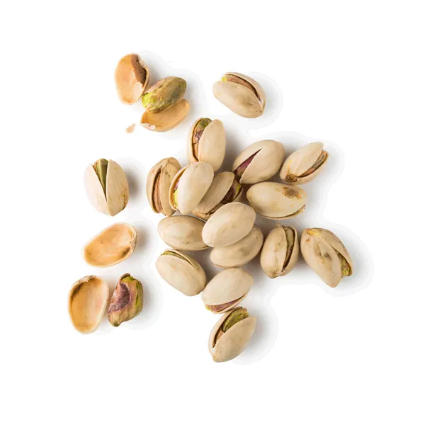 Roasted Salted Pistachio from Greece supplied by PAMI SA - Dried Pistachio Kernel