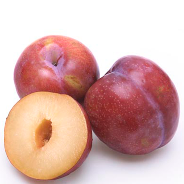Fresh Plums from Brazil supplied by Castel Frutas - Whole Fresh Plum